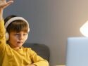 Software is the likely answer to better computing education in primary schools, says college head